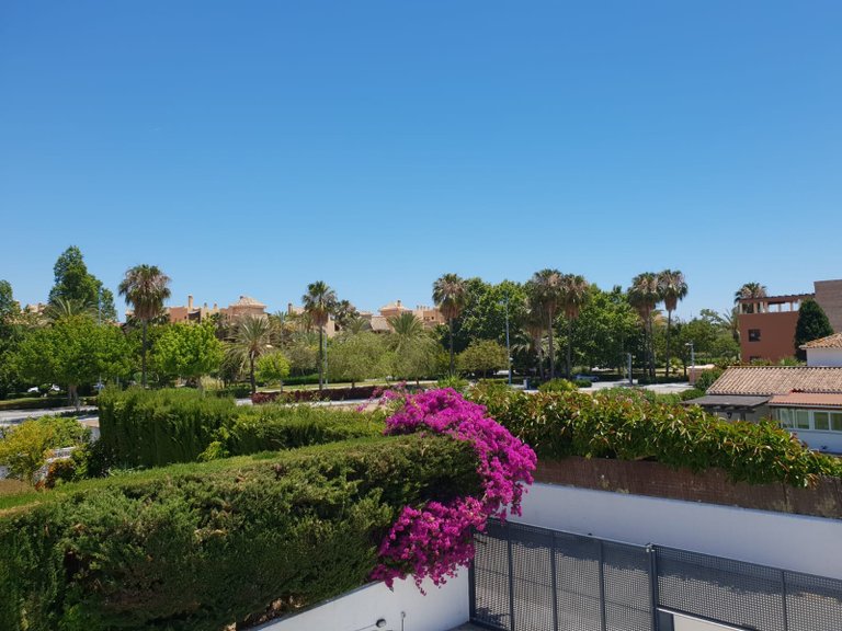 Villa for Rent in San Pedro De Alcantara, Malaga 4