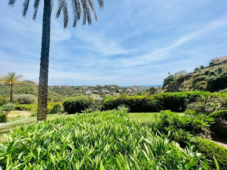 Apartment for Sale in Benahavis, Malaga 15
