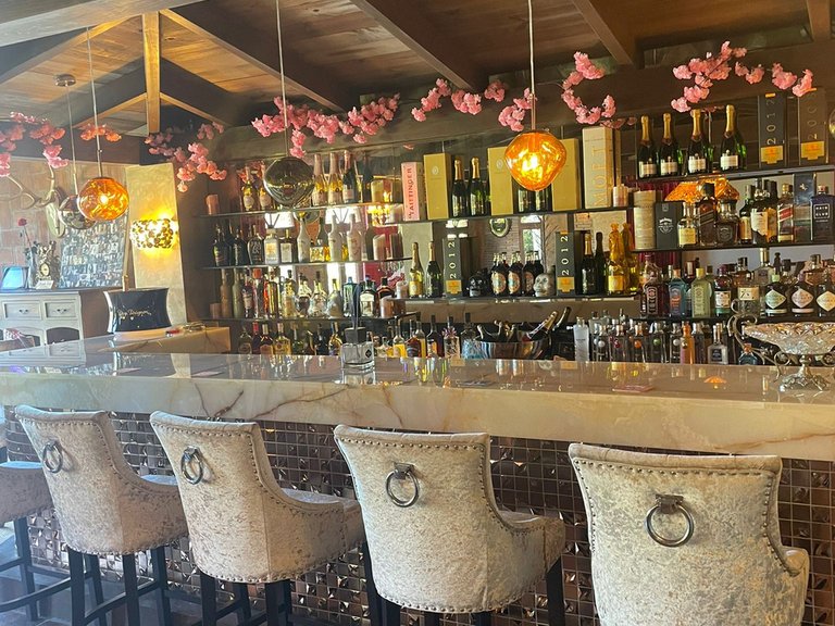 Villa for Rent in Marbella, Malaga 26
