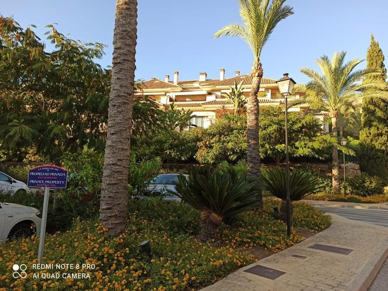 Apartment for Rent in Marbella, Malaga 1