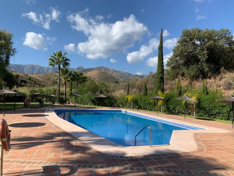 Apartment for Rent in Marbella, Malaga 7