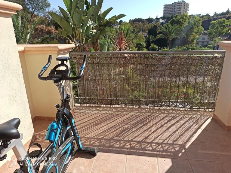 Apartment for Rent in Marbella, Malaga 4