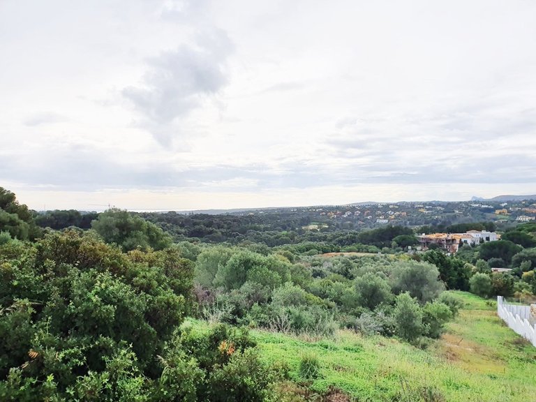 Plot for Sale in Sotogrande, Cadiz 3
