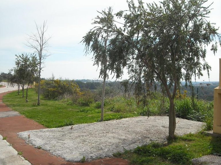 Plot for Sale in Sotogrande, Cadiz 4