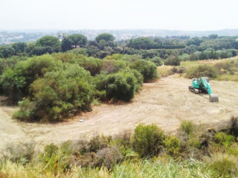 Plot for Sale in Sotogrande, Cadiz 1