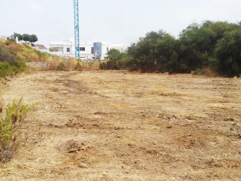 Plot for Sale in Sotogrande, Cadiz 2