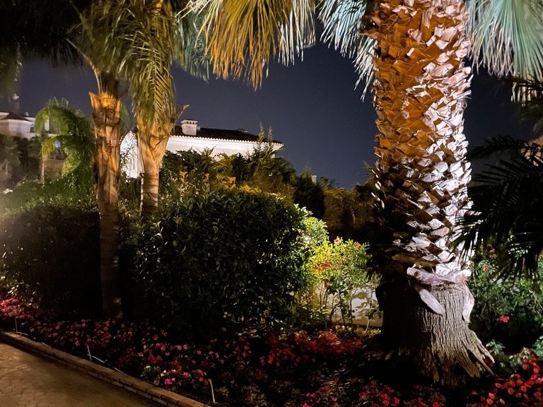 Villa for Sale in Marbella, Malaga 50