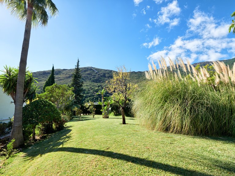 Villa for Sale in Estepona, Malaga 4