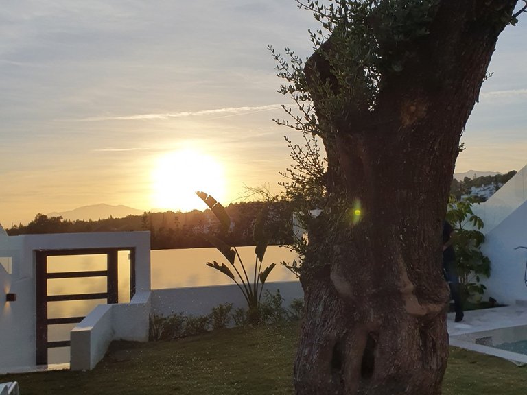 Villa for Sale in Marbella, Malaga 22