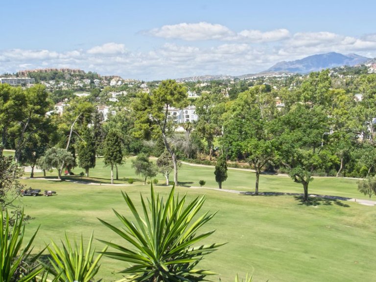 Villa for Sale in Marbella, Malaga 31