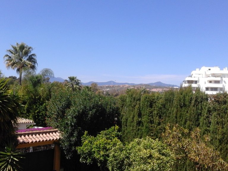 Villa for Sale in Marbella, Malaga 15