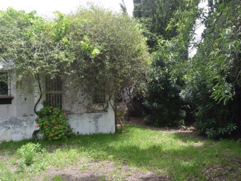 Plot for Sale in Marbella, Malaga 2