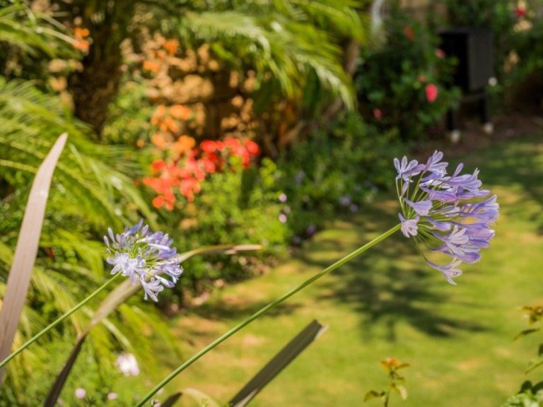 Apartment for Sale in Marbella, Malaga 17