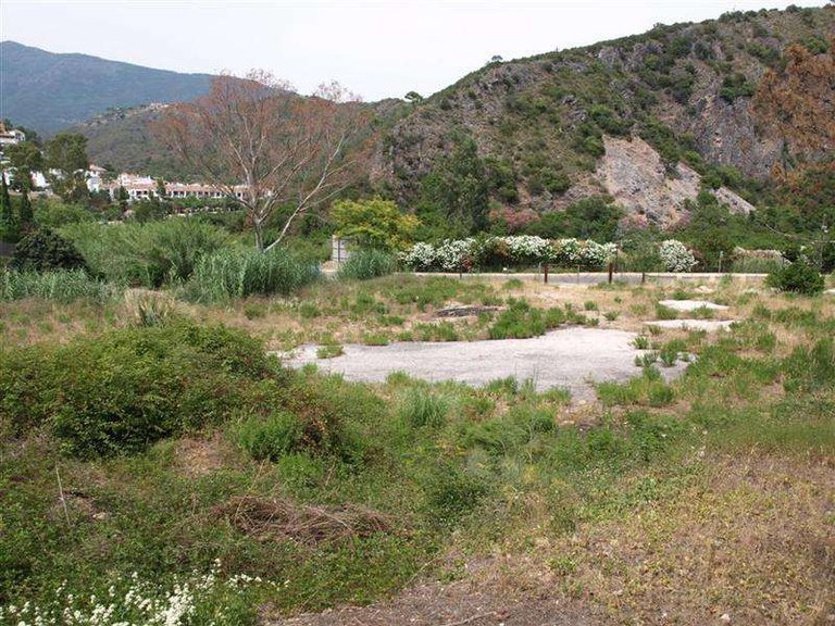 Plot for Sale in Benahavis, Malaga 3