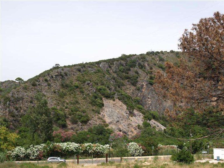 Plot for Sale in Benahavis, Malaga 1