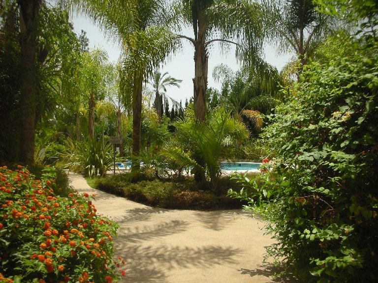 Apartment for Sale in Marbella, Malaga 9