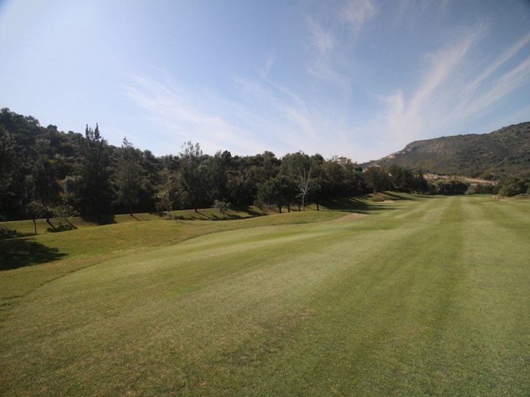 Plot for Sale in Benahavis, Malaga 11
