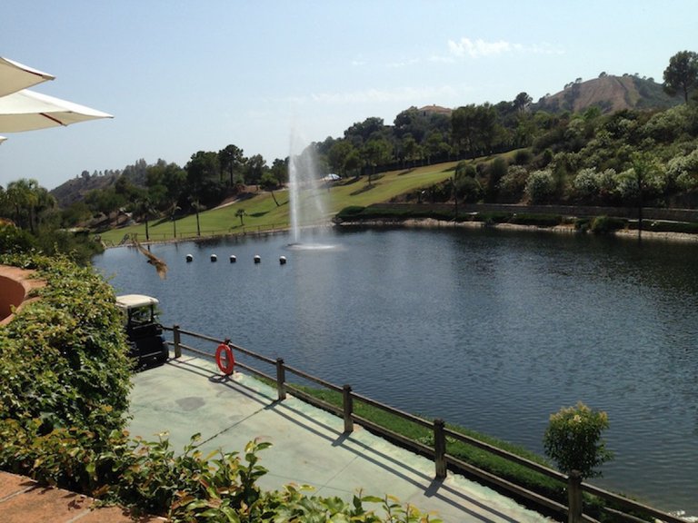 Plot for Sale in Benahavis, Malaga 15