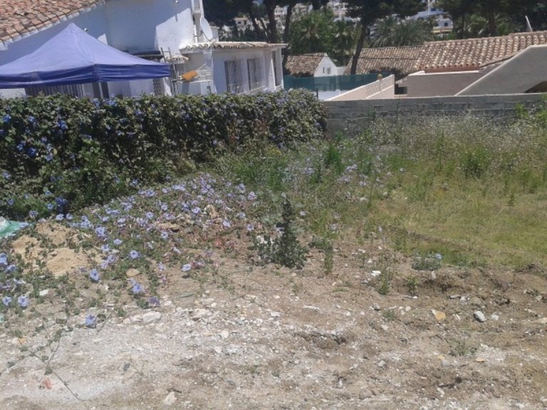 Plot for Sale in Marbella, Malaga 4