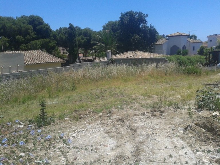 Plot for Sale in Marbella, Malaga 8