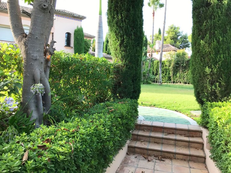 Plot for Sale in Marbella, Malaga 4