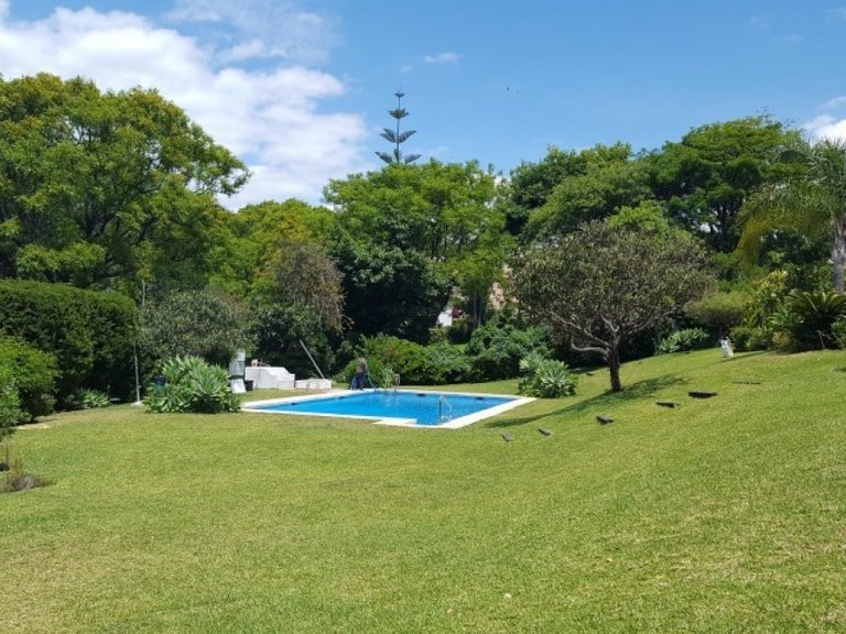 Apartment for Sale in Marbella, Malaga 1