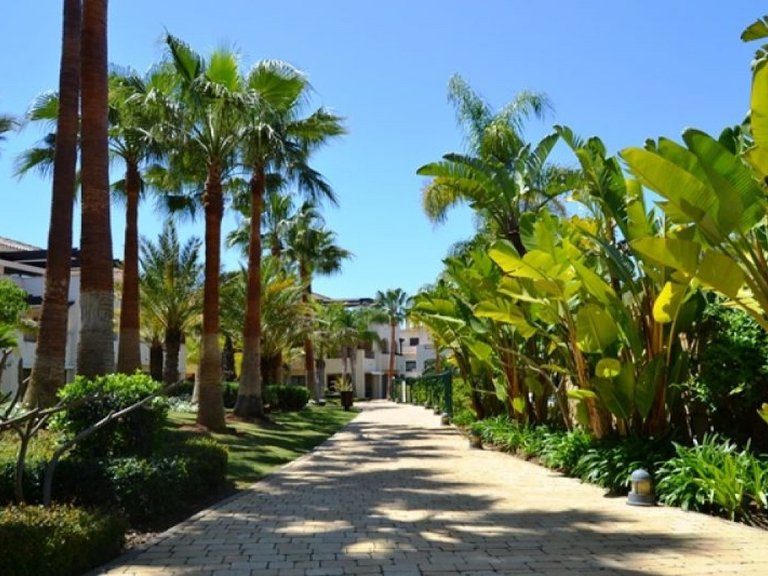 Apartment for Sale in Marbella, Malaga 15