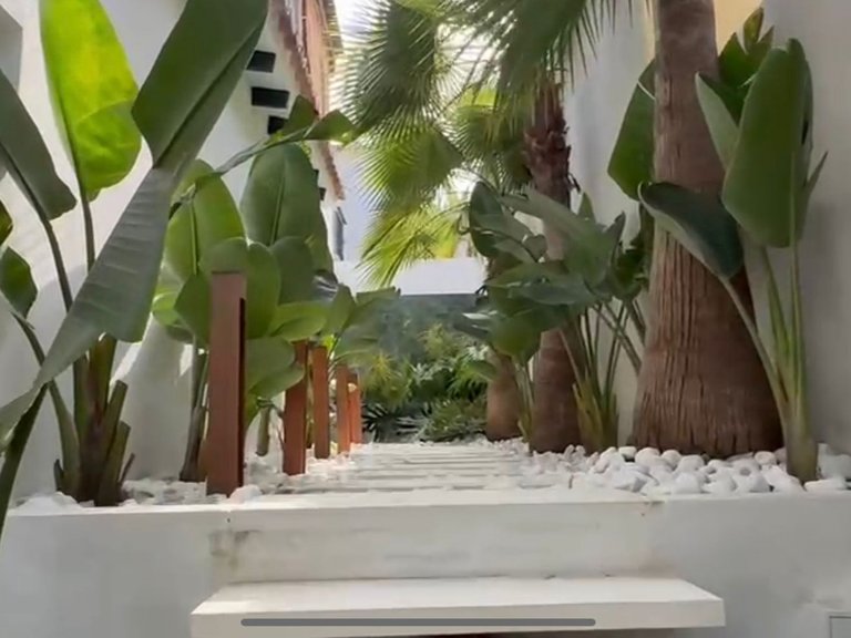 Villa for Rent in Marbella, Malaga 13