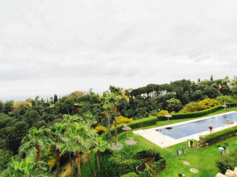 Apartment for Rent in Marbella, Malaga 4