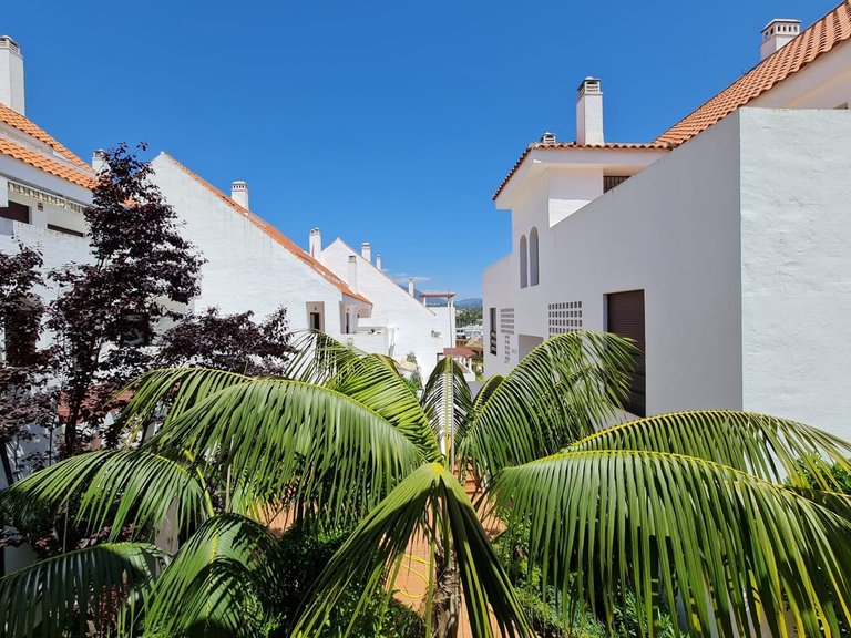 Apartment for Rent in Marbella, Malaga 19