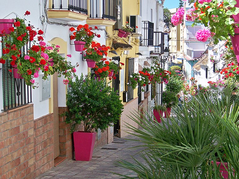 Apartment for Sale in Estepona Malaga 23