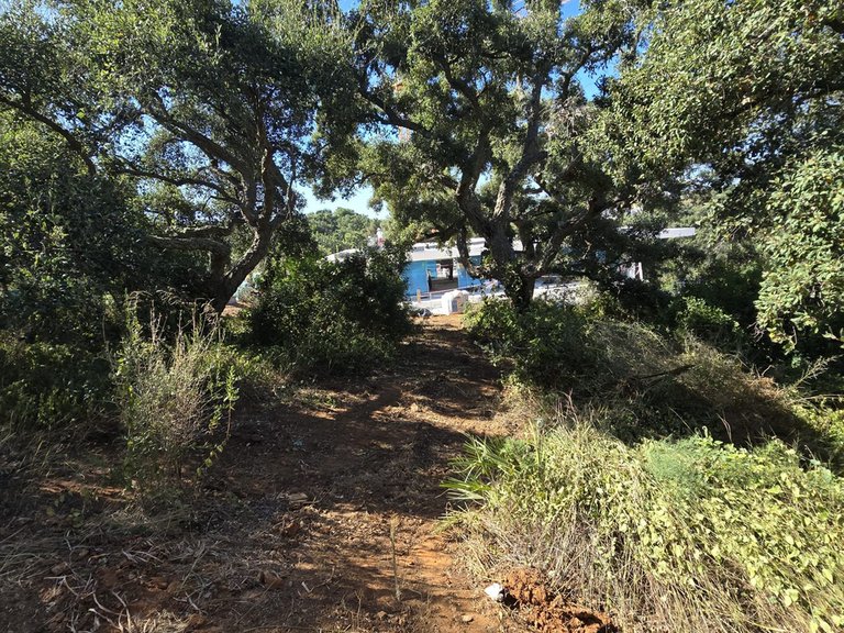 Plot for Sale in Sotogrande Cadiz 3