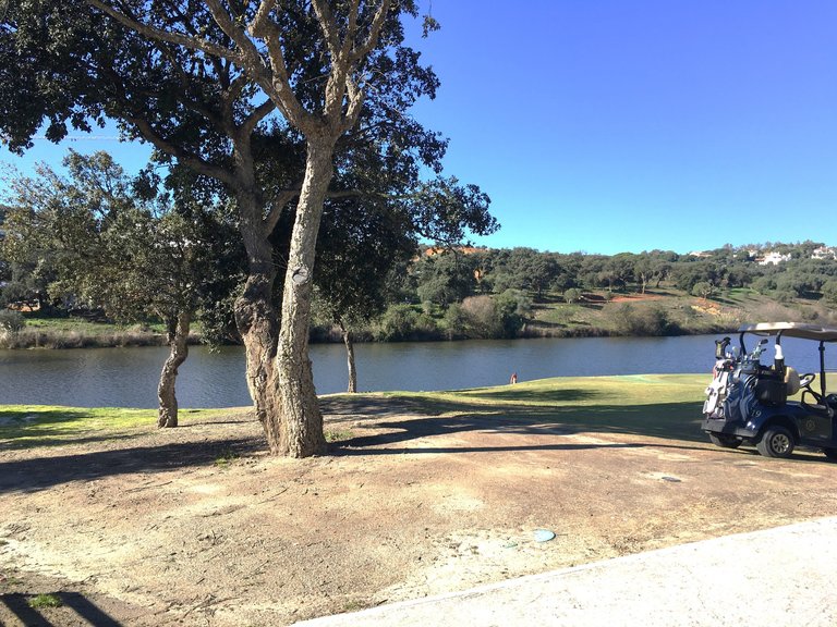 Plot for Sale in Sotogrande Cadiz 6