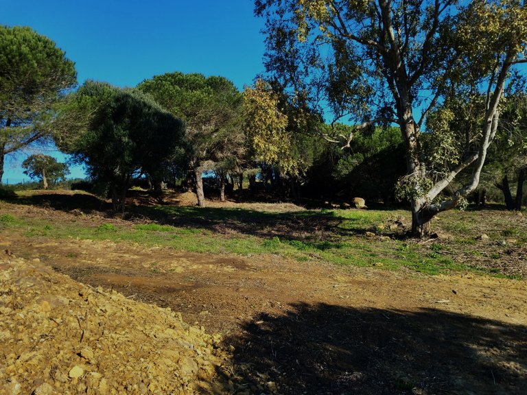 Plot for Sale in Sotogrande Cadiz 12