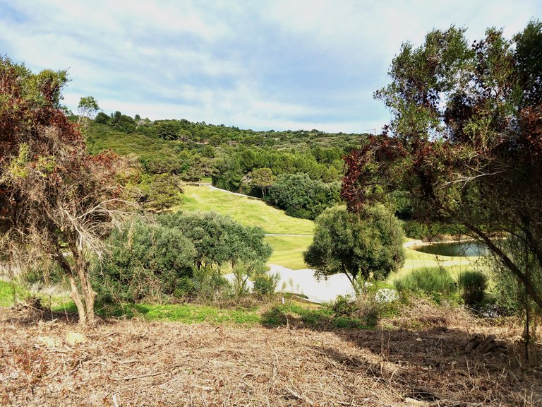 Plot for Sale in Sotogrande Cadiz 1