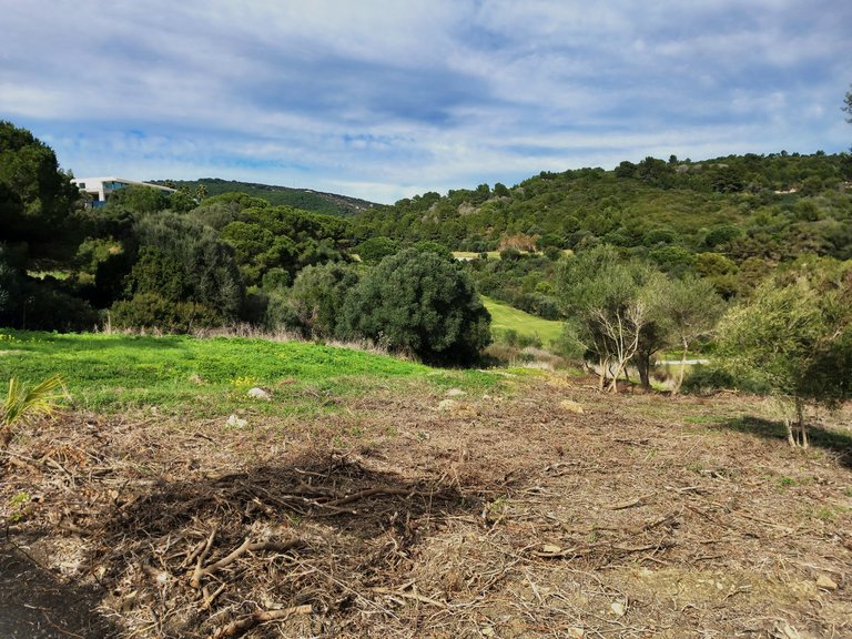 Plot for Sale in Sotogrande Cadiz 9