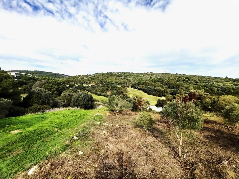 Plot for Sale in Sotogrande Cadiz 14