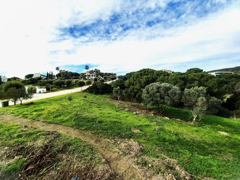 Plot for Sale in Sotogrande Cadiz 15