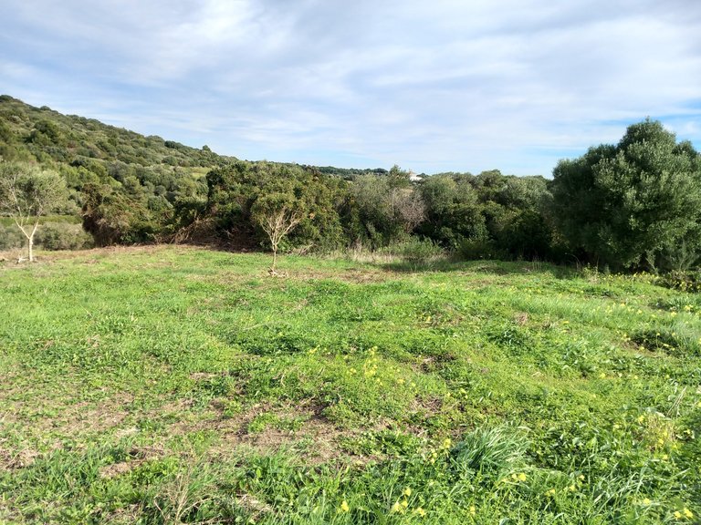 Plot for Sale in Sotogrande Cadiz 16