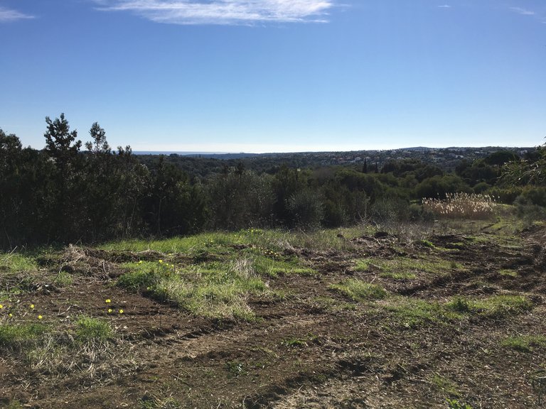 Plot for Sale in Sotogrande Cadiz 15