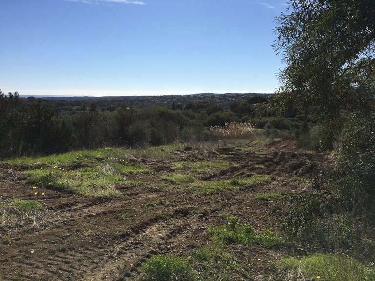 Plot for Sale in Sotogrande Cadiz 14