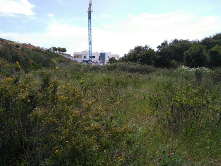 Plot for Sale in Sotogrande Cadiz 17