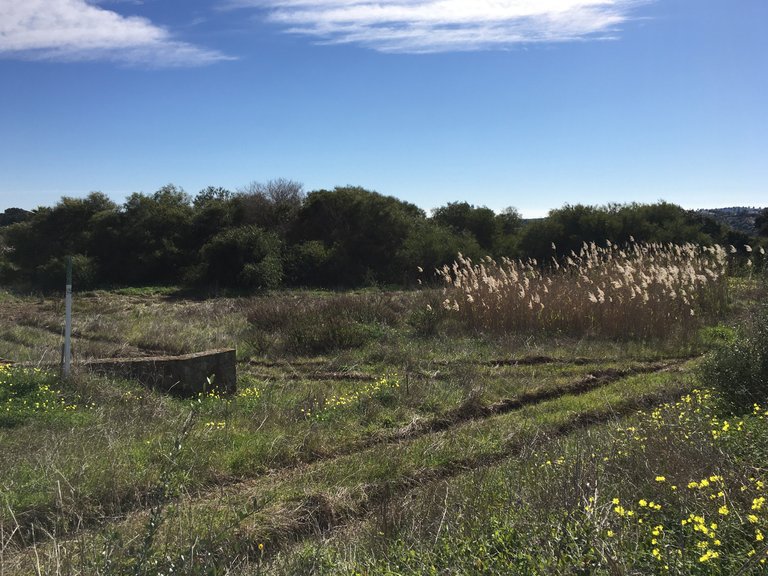 Plot for Sale in Sotogrande Cadiz 3