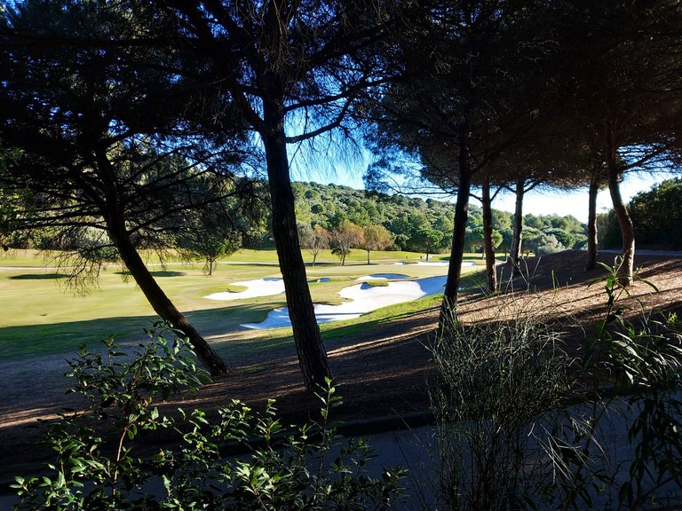Plot for Sale in Sotogrande Cadiz 16