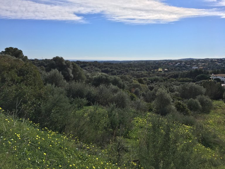 Plot for Sale in Sotogrande Cadiz 22