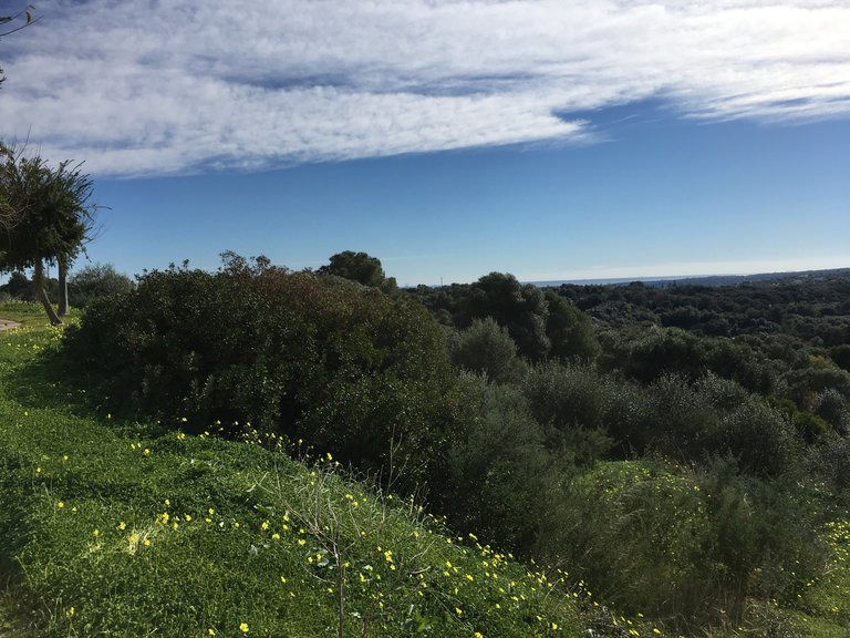 Plot for Sale in Sotogrande Cadiz 4