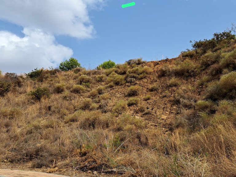 Plot for Sale in Mijas Costa Malaga 2