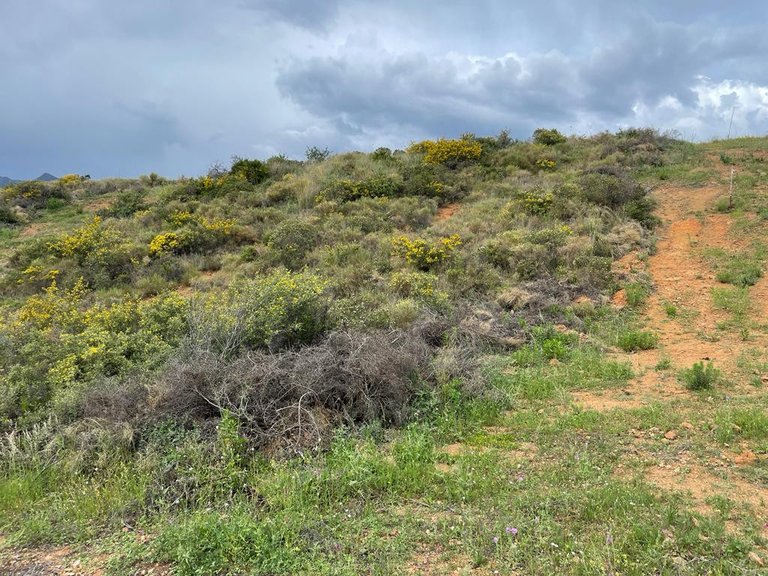 Plot for Sale in Mijas Costa Malaga 4