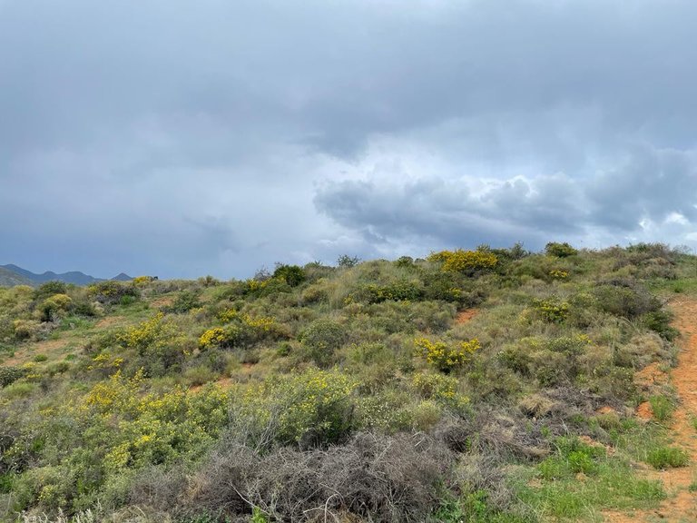Plot for Sale in Mijas Costa Malaga 7