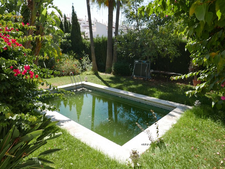 Villa for Sale in Marbella Malaga 7
